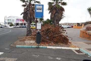  Temor en La Lomo de Jinámar por los montones de restos vegetales secos (Foto TA)